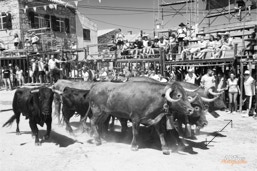 Capeia Arraiana Alfaiates