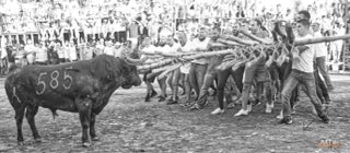 Capeia Arraiana Alfaiates