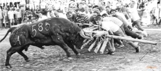 Capeia Arraiana Alfaiates