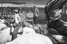 Capeia Arraiana Alfaiates