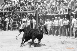 Capeia Arraiana Alfaiates