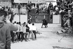 Capeia Arraiana Alfaiates